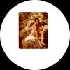 rodr0331